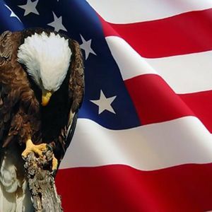 Meet your Posher, Cecil